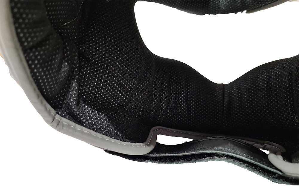 Morgan V2 Aventus Nose Protector Head Guard
